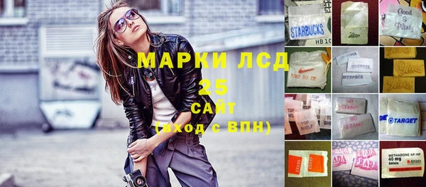 кокс Елизово